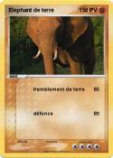 Elephant de