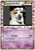Gentleman Dog