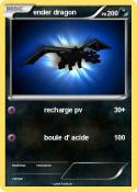 ender dragon