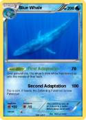 Blue Whale