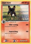 super hund