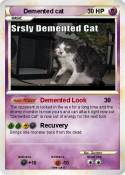 Demented cat