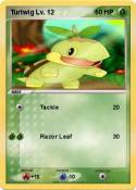 Turtwig Lv. 12