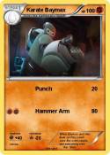 Karate Baymax