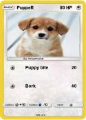 PuppeR