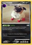 PUG POWER