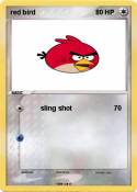 red bird