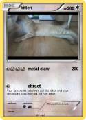 kitten