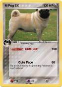 M Pug EX