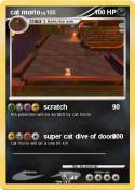 cat morio