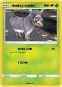 donkey master