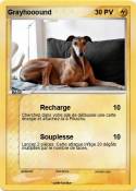 Grayhooound