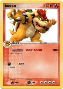 bowser