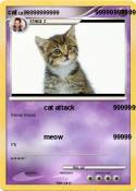 cat