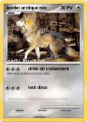border arctique