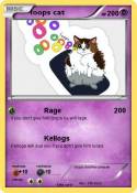 loops cat