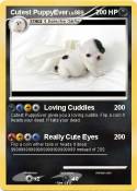 Cutest PuppyEve