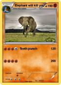 Elephant will