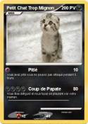 Petit Chat Trop