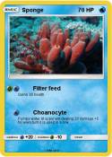Sponge