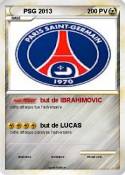 PSG 2013