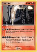 chat taré