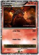 roi dragon