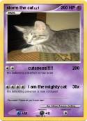 storm the cat