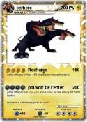 cerbere