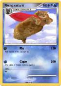 Flying cat