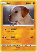 DOG