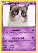 grumpy cat