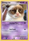 Grumpy Cat