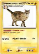 Catasaor