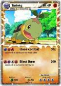 Turtwig