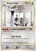 Serveur Chat