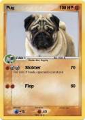 Pug