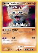 CREEPY CAT