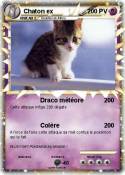 Chaton ex