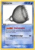 Calocyclas