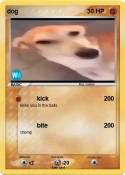 dog