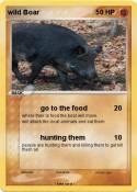 wild Boar