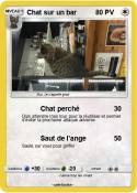 Chat sur un bar