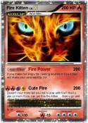 Fire Kitten