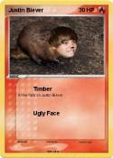 Justin Biever