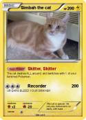 Simbah the cat