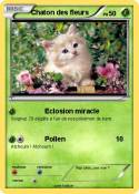 Chaton des fleu