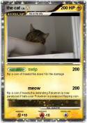 the cat