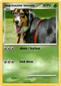 loup-bouvier