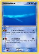 Baleine bleue